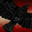 RavenFire