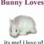 Bunnybaby