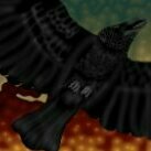RavenFire
