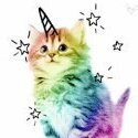 Unikitten23