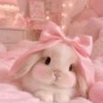 LittleMissBunnyPrincess