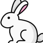 ShyBunny30